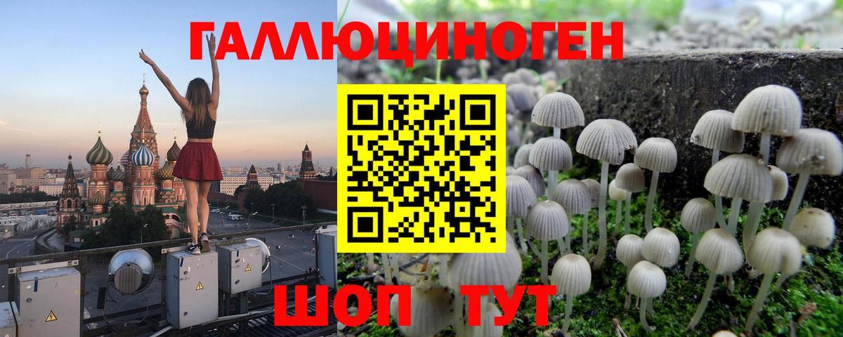 Псилоцибиновые грибы прущие грибы  Вход с VPN  Дятьково 